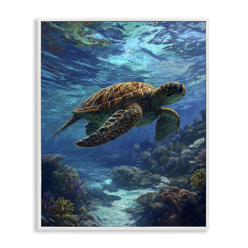 Giclée encadrée par Oceanic Adventurer Tortoise, design par Franklyn Gregory, 14 x 11, Coastal White Giclee Framed