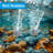 Solar Pond Aerator