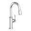 Chesterfield Pull Down Single Handle Kitchen Faucet-116431317