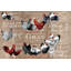 Chicken Burlap - Wrapped Canvas Print-429506241