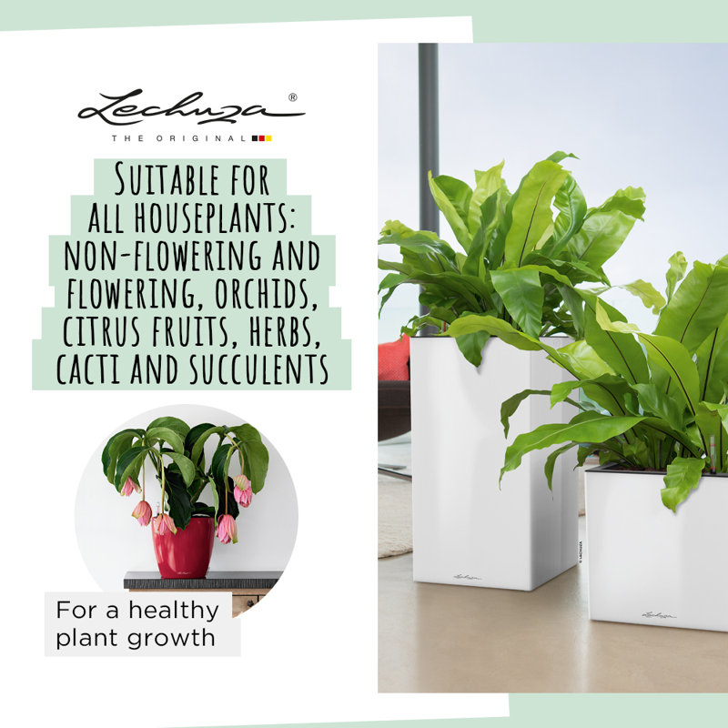 Plant Substrate, 53cm H x 31cm W x 12cm D