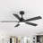 Selvidge 52'' Ceiling Fan with LED Lights and Remote, 6 Speed Quiet Reversible DC Motor, 5 Plywood Blades, 5''/10'' Downrods,Timer-139012768