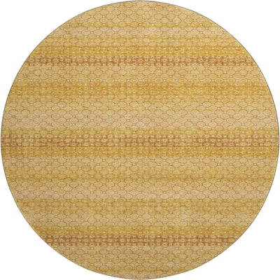 Premium Machine Washable Elize AMF1419 Stripes Rug