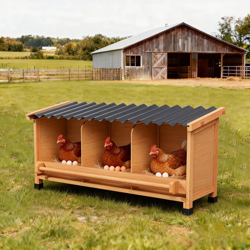 Boîtes gigognes en bois toutes saisons avec perchoir d'entrée et panneau d'intimité, pour 3 poules