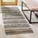 Bester Handwoven Cotton Green Area Rug