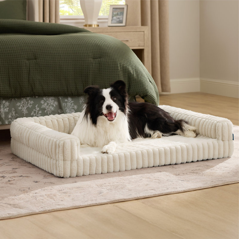 Canapé-lit orthopédique pour grands chiens Comoresfleece, L (H 7 po x l 35 po x P 25 po), Crème