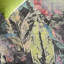 Tapis d'intérieur / extérieur à motif floral Barbados 500 Performance-87895413