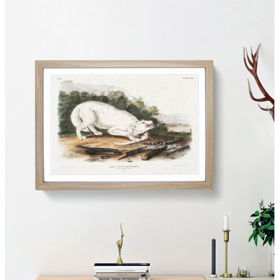 White American Wolf by J.W. Audubon - Framed Print