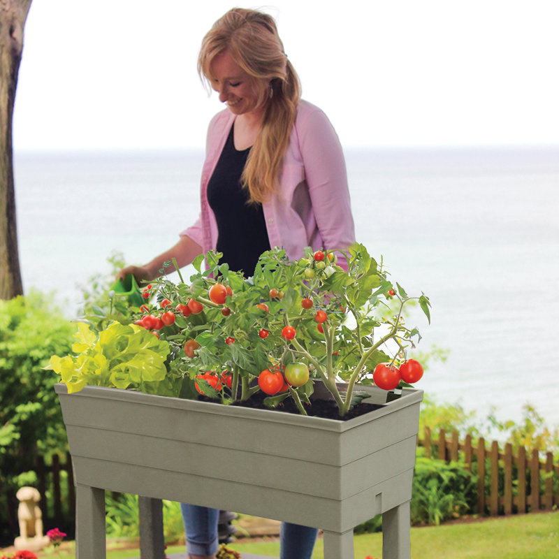 City Pickers High-Rise Elevated Garden Bed, Driftwood