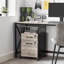 Alican 42cm Wide 2 -Drawer File Cabinet