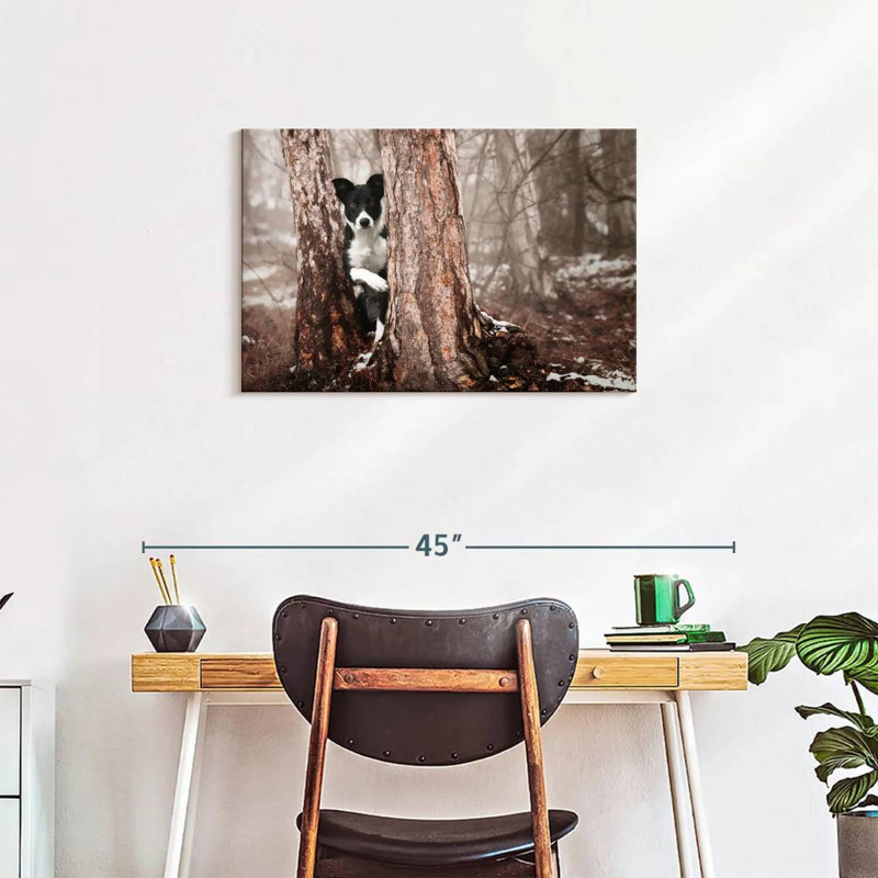 Brampt Playful Border Collie, 20'' H x 30'' W