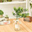 33 cm H Faux Ficus Branch Plant
