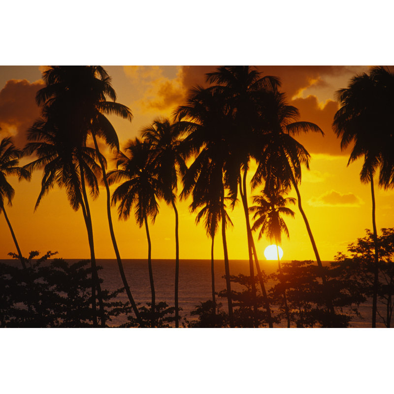 Tropical Sunset - Wrapped Canvas Print, 30cm H x 46cm W x 3.8cm D
