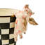 Rosy Check Flying Pig Pot Climber