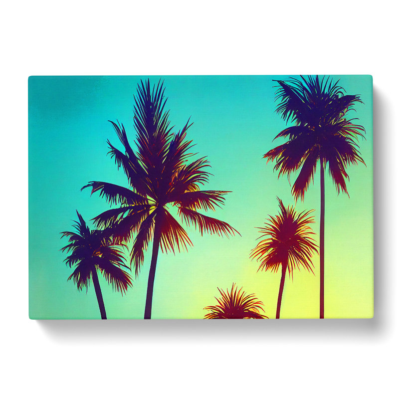 Stupendous Palm Trees - Wrapped Canvas, 35cm H x 50cm W x 3cm D