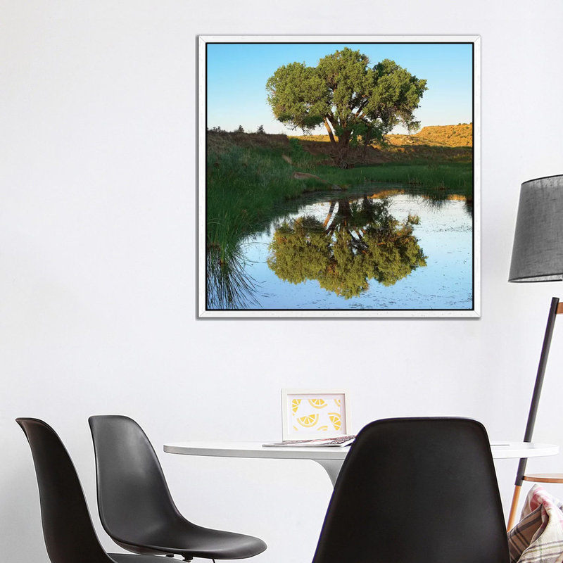 Tree Reflecting In Creek Near Black Mesa State Park, Oklahoma 1 Piece Wall Art on Canvas, 93.98 cm H x 93.98 cm W