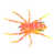 Orange est en rupture de stock
