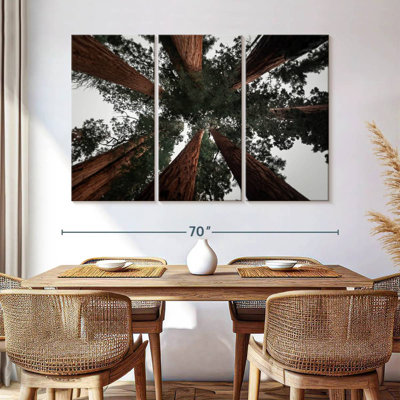 Redwoods de Harnek en Californie