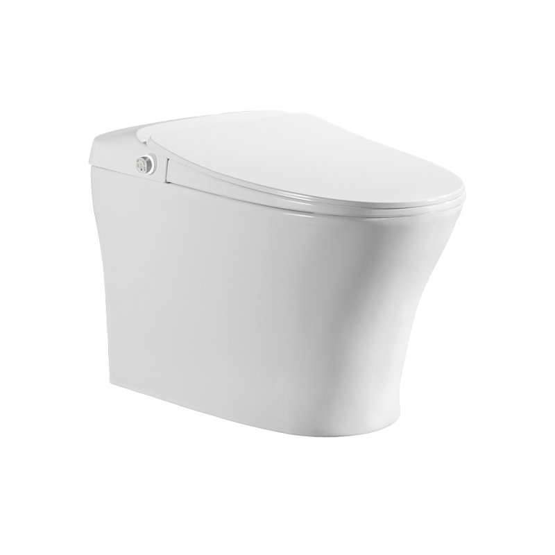 Toilette intégrée pour bidet iWASH CS-18 (comprend le siège et la cuvette)