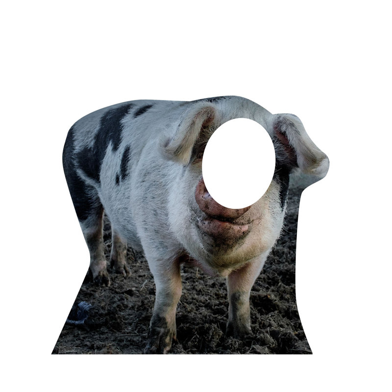 42'' Black and White Pig Cardboard Standup