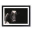 Peering Cow in Abstract - Picture Frame Painting Print-55738994-55738995