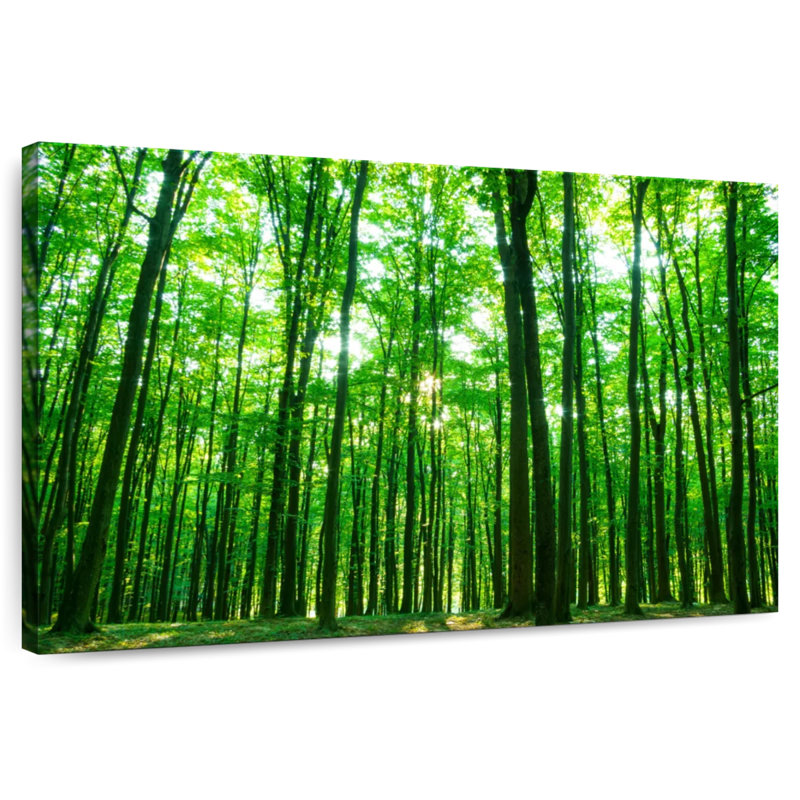 Alvord ensoleillé vert forêt, H 20 po x l 30 po