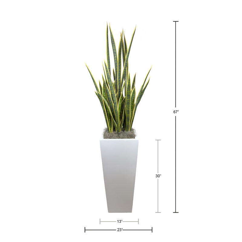 Faux Snake Plant in Pot