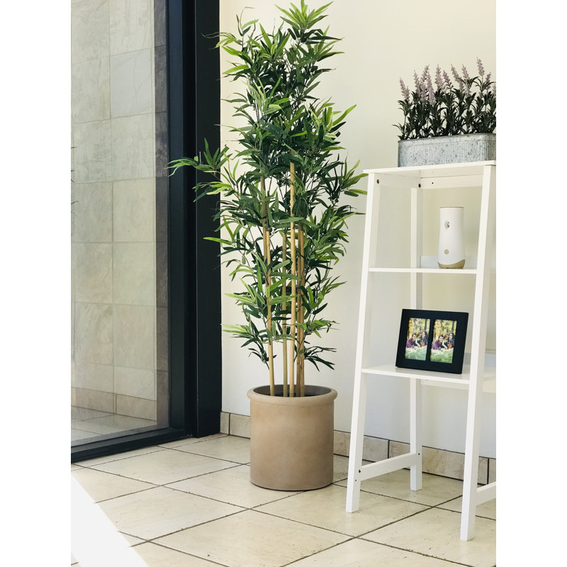Pot à fleurs Romney, H 14 po x l 14 po x P 14 po