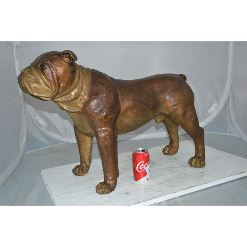 Statue de bronze moyen Jasinski Bulldog - Taille: L 29 po x l 11 po x H 20 po.