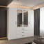 4 Door Manufactured Wood Wardrobe-347248247
