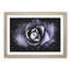 Lilac Succulent Plant Paint Splash - Picture Frame Graphic Art-56865606-56865602