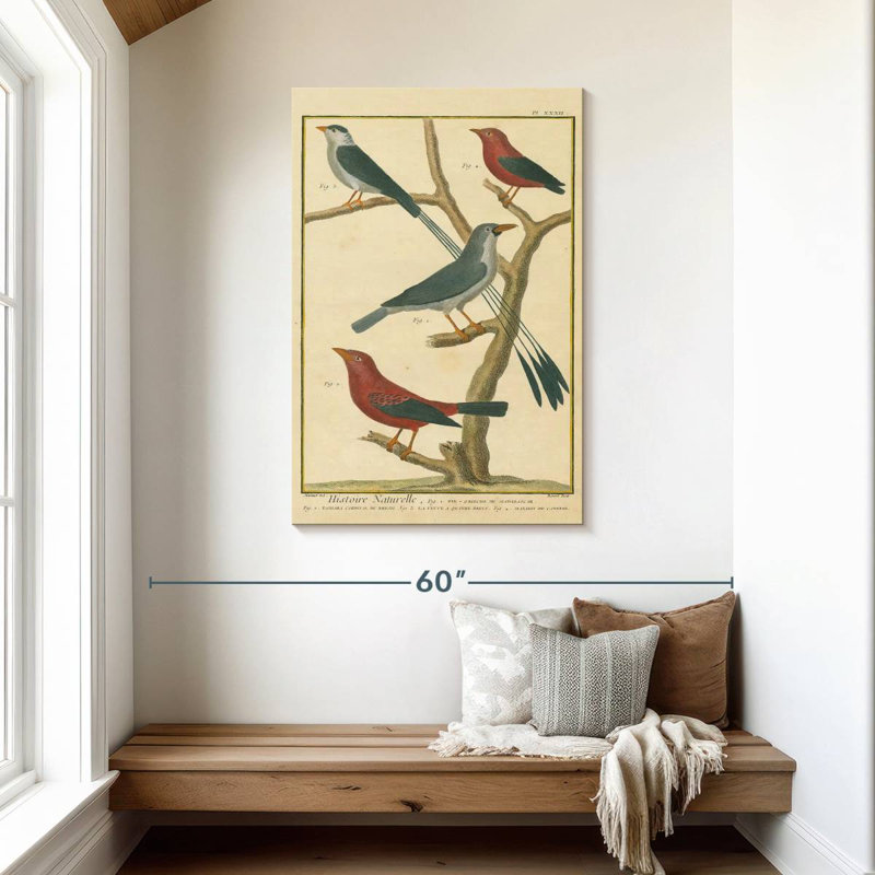 Brampt Bird Drawing I, 45" H x 30" W