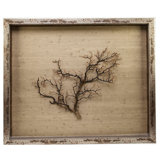 Sealife Print
