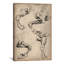 «Leonardo's Horse» par Leonardo Da Vinci - reproduction d'art sur toile-398917001-320715865-320715866