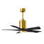 Patricia LED Downrod Ceiling Fan-439919628-486079861