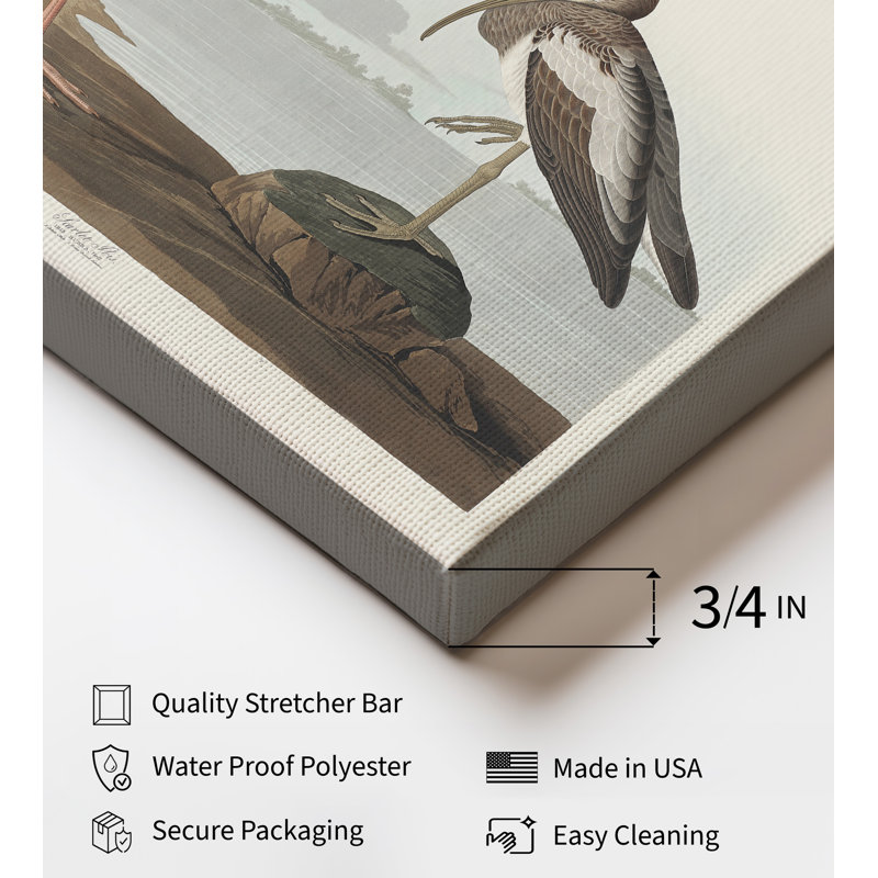 John James Audubon - Écarlate, 11"H x 14"W, Canvas, Unframed