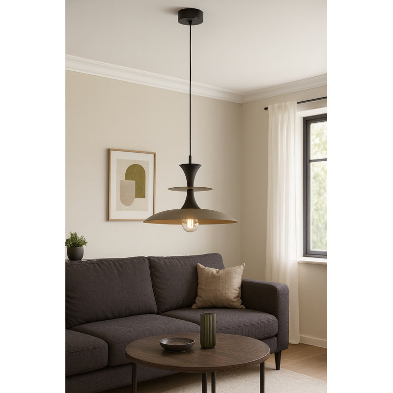 1 - Light Pendant, Brown/Black