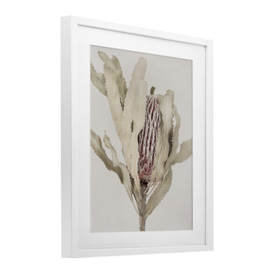 «Hidden Banksia Botanical Fronds», reproduction sous verre encadrée, design par Sissi et Seb