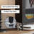 Metal Accent Merwin-1238908612