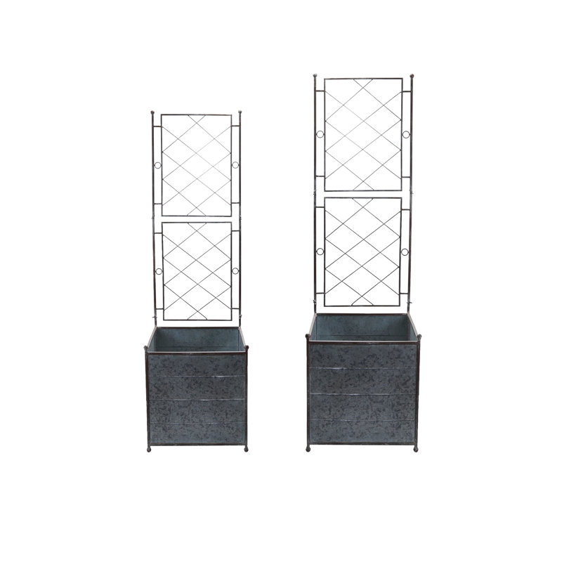 Jardinières en métal galvanisé 2 pièces avec treillis