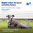 PetSafe Wireless Pet Containment System Receiver Collar