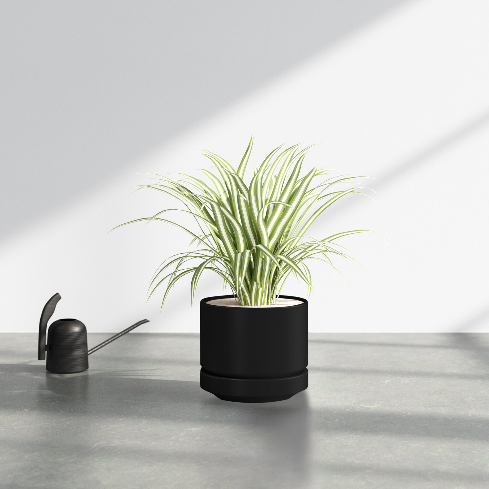 Byer 10" Ceramic Pot Planter, Black, 9.25" H x 10.25" W x 10.25" D