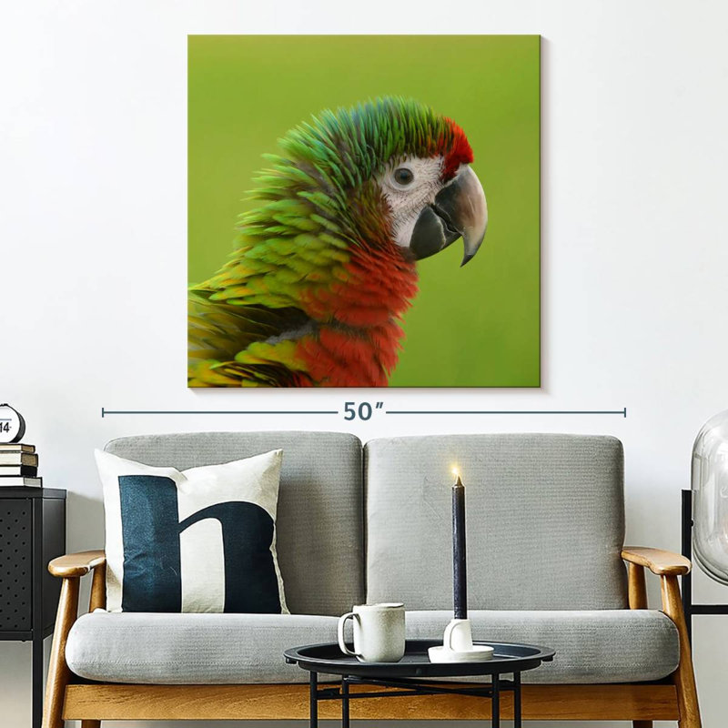 Brampt Macaw Bird Head, 33" H x 33" W
