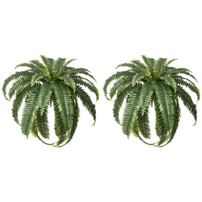 Adcock 39" Fern Plant