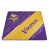 Minnesota Vikings