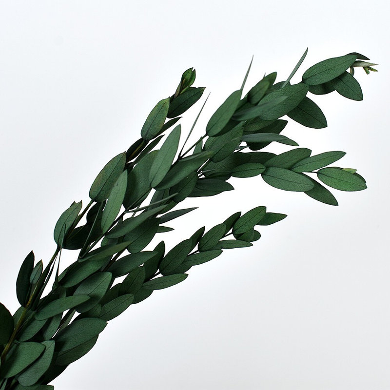 Vase Filler Decorative Object