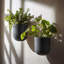 Jardinières murales suspendues pour plantes d'intérieur P Pots de fleurs suspendus pour plantes grasses, ensemble de 2, 5,7 L * 4,1 l * 7 H, gris vieilli