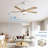 Damecia 52'' Ceiling Fan with LED Lights-1444270906