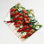 Tapisserie murale «Fruit Strawberry»-133649617