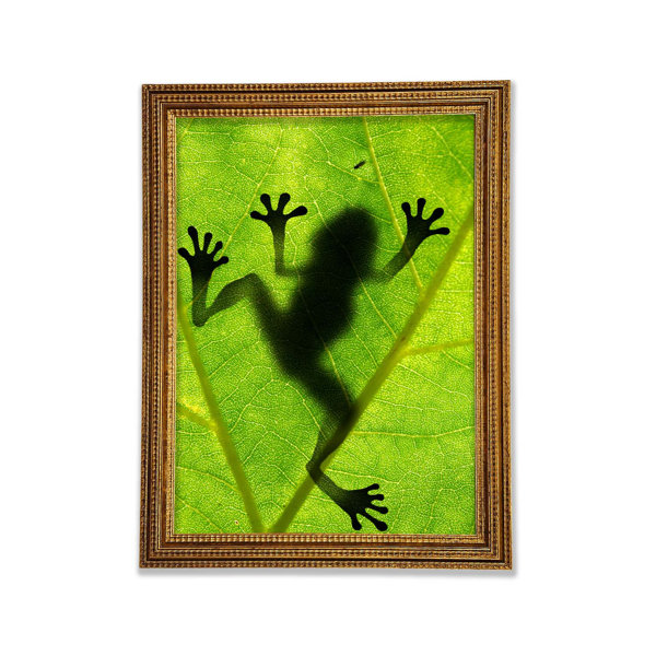 Making Frog Shadow Ebern Designs Frog Shadow - Single Picture Frame Print | Wayfair.co.uk
